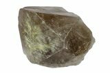 Rutilated Smoky Quartz Crystal - Brazil #173009-3
